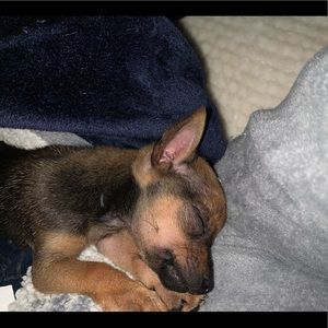 Meet your Posher, Maria teresa